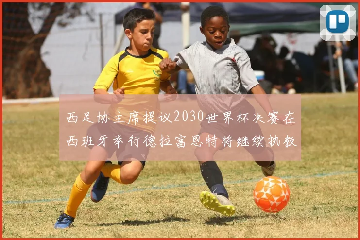 西足协主席提议2030世界杯决赛在西班牙举行德拉富恩特将继续执教国家队