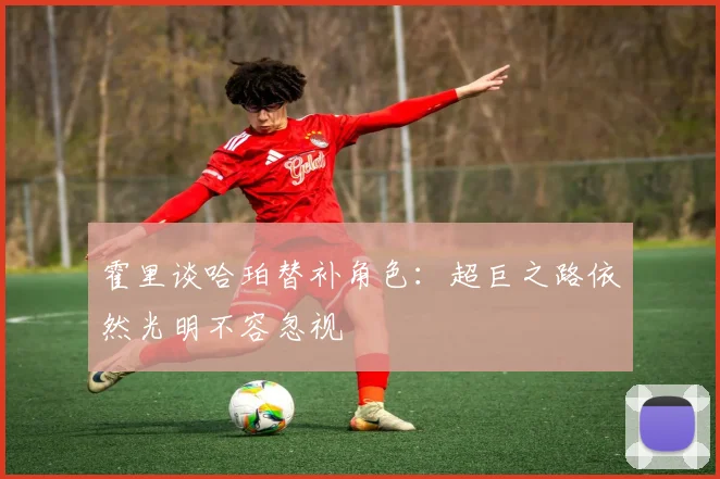 霍里谈哈珀替补角色：超巨之路依然光明不容忽视