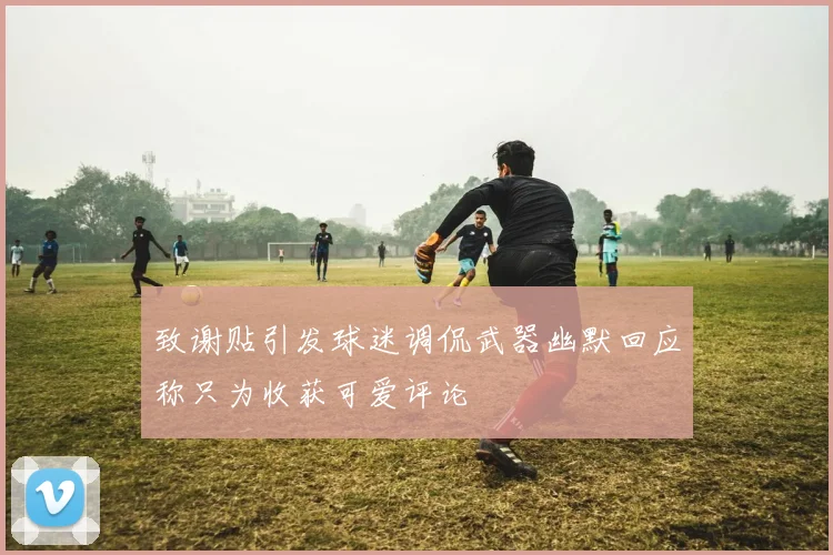 致谢贴引发球迷调侃武器幽默回应称只为收获可爱评论